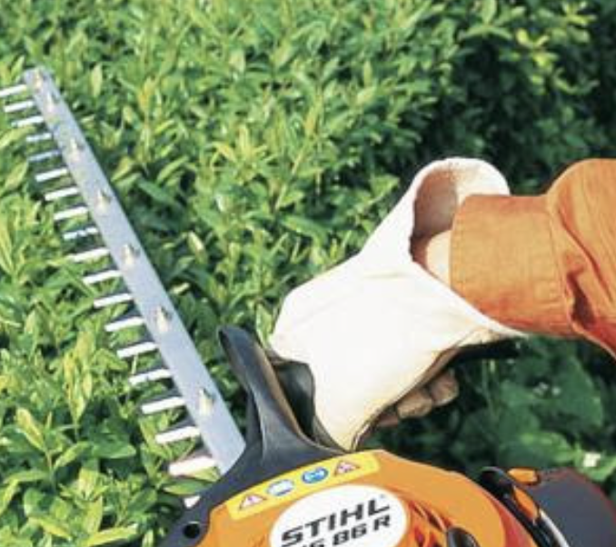 Élagueur à Brunoy en pleine taille d'arbre
